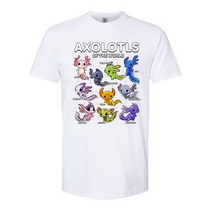 Axolotl Shirts Kawaii Axolotls Of The World Axolotl Animals Design Softstyle CVC T-Shirt