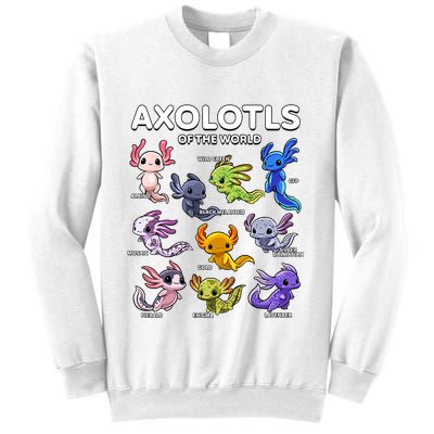Axolotl Shirts Kawaii Axolotls Of The World Axolotl Animals Design Sweatshirt