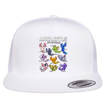 Axolotl Shirts Kawaii Axolotls Of The World Axolotl Animals Design Flatbill Hat