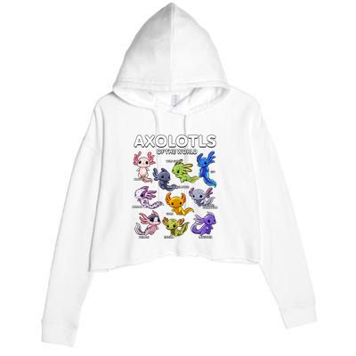 Axolotl Shirts Kawaii Axolotls Of The World Axolotl Animals Design Crop Fleece Hoodie