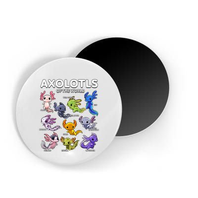 Axolotl Shirts Kawaii Axolotls Of The World Axolotl Animals Design Magnet