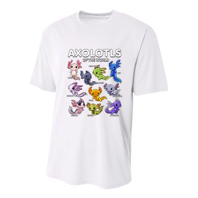 Axolotl Shirts Kawaii Axolotls Of The World Axolotl Animals Design Youth Performance Sprint T-Shirt