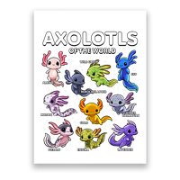 Axolotl Shirts Kawaii Axolotls Of The World Axolotl Animals Design Poster
