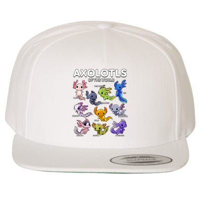 Axolotl Shirts Kawaii Axolotls Of The World Axolotl Animals Design Wool Snapback Cap