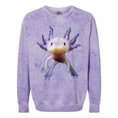 Axolotl Shirt: Limited Edition Colorblast Crewneck Sweatshirt