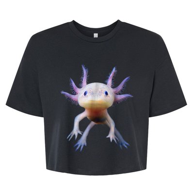 Axolotl Shirt: Limited Edition Bella+Canvas Jersey Crop Tee