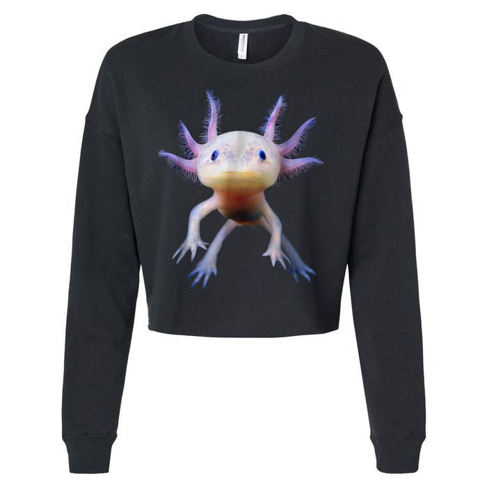 Axolotl Shirt: Limited Edition Cropped Pullover Crew