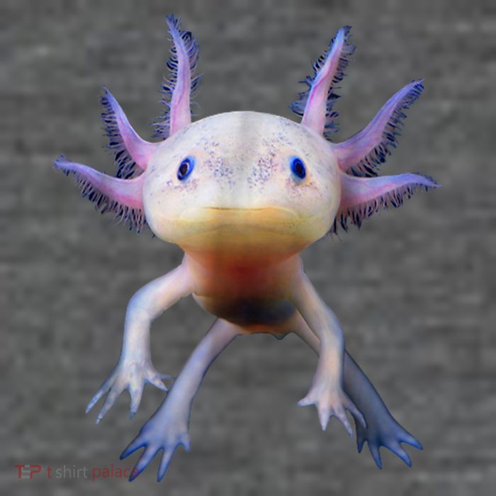 Axolotl Shirt: Limited Edition T-Shirt