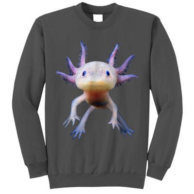 Axolotl Shirt: Limited Edition Tall Sweatshirt