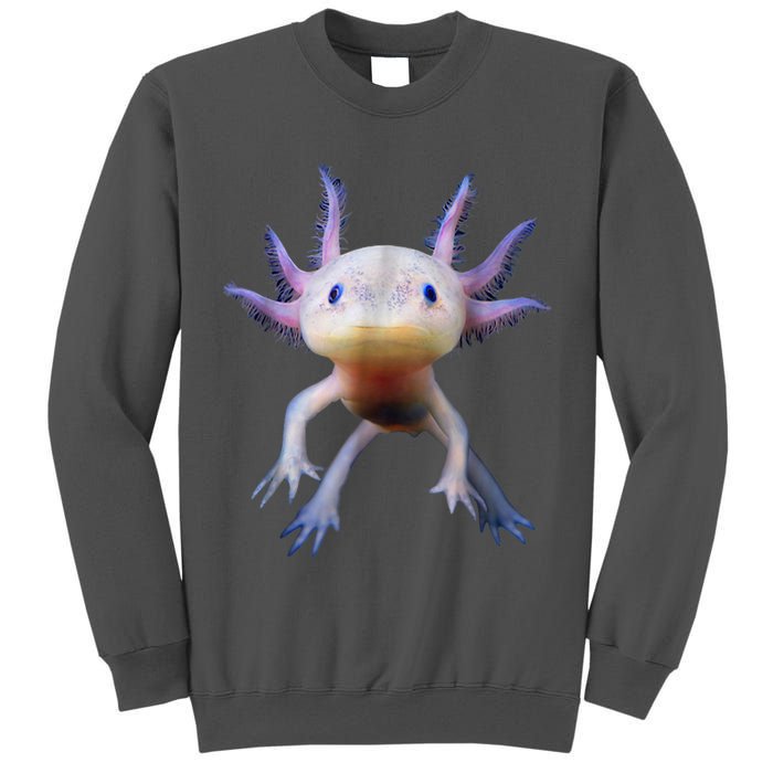 Axolotl Shirt: Limited Edition Tall Sweatshirt