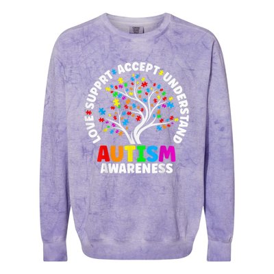 Autism Shirt Love Accept Support Autistic Autism Awareness Colorblast Crewneck Sweatshirt