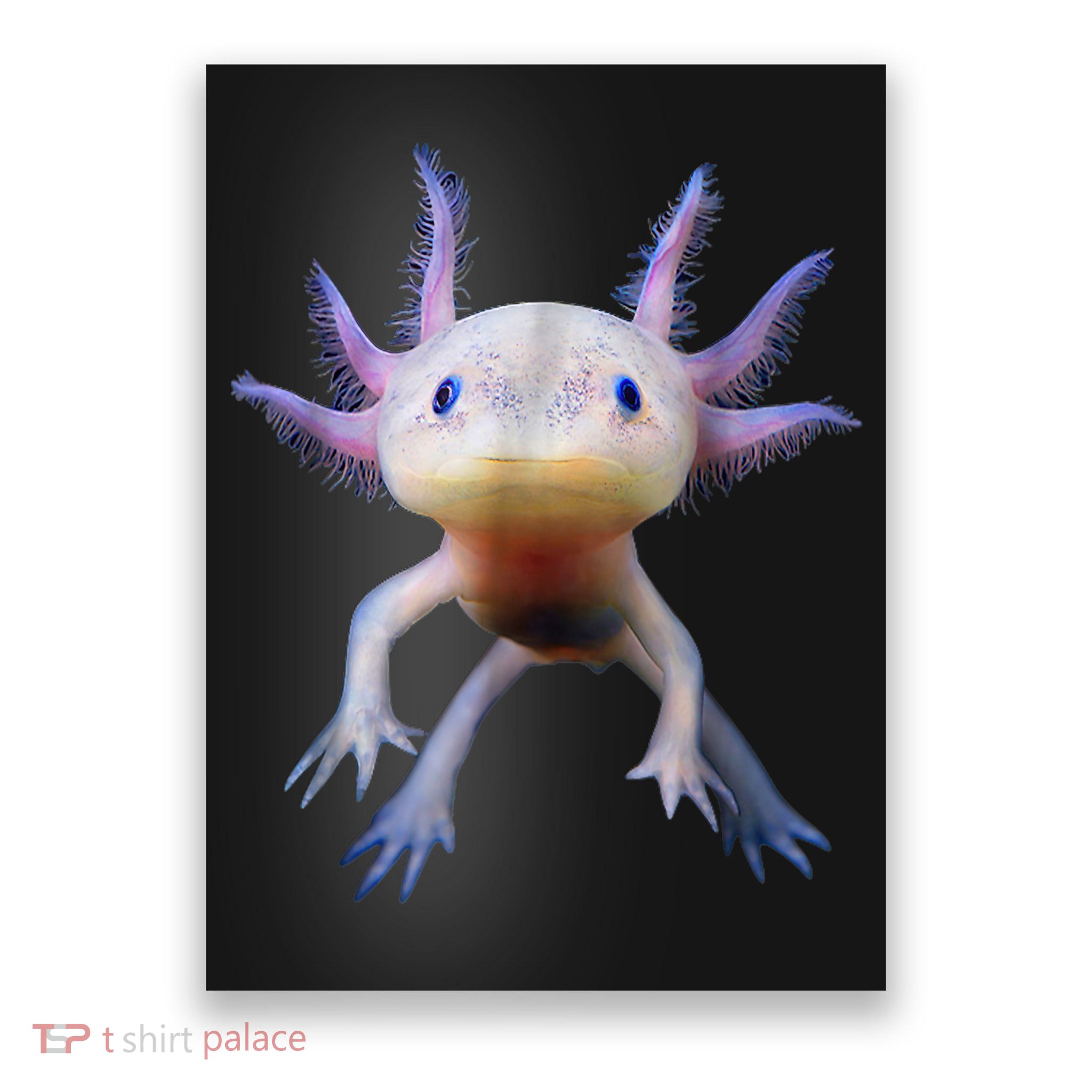 Axolotl Shirt: Limited Edition Poster