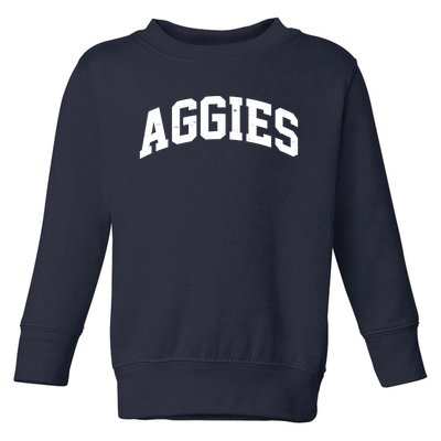 Aggies Sports Logo Toddler Sweatshirt