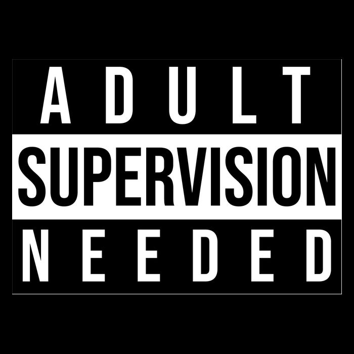 Adult Supervision Needed Funny Gift Flatbill Hat