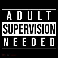 Adult Supervision Needed Funny Gift Premium T-Shirt