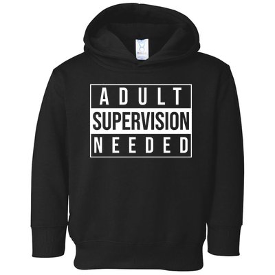 Adult Supervision Needed Funny Gift Toddler Hoodie