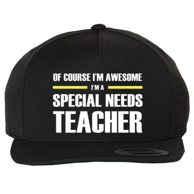 Awesome Special Needs Teacher Funny Gift Wool Snapback Cap