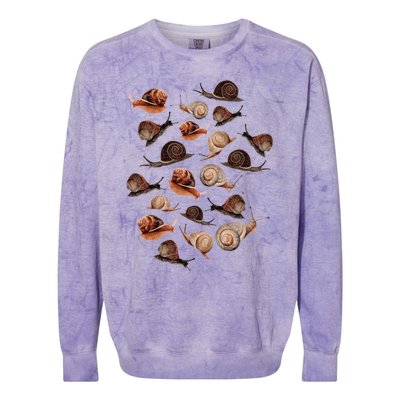 A Slew Of Snails Colorblast Crewneck Sweatshirt