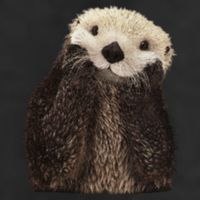 Adorable Sea Otter Gift 11oz C Handle Ceramic Mug