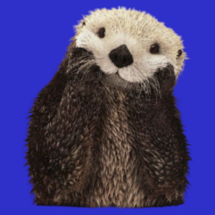 Adorable Sea Otter Gift Zip Tote Bag
