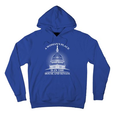 A S Place Is In The House And Senate Funny Gift Hoodie