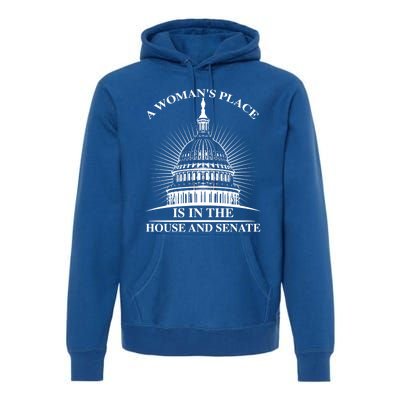 A S Place Is In The House And Senate Funny Gift Premium Hoodie