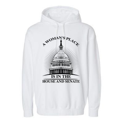 A S Place Is In The House And Senate Funny Gift Garment-Dyed Fleece Hoodie