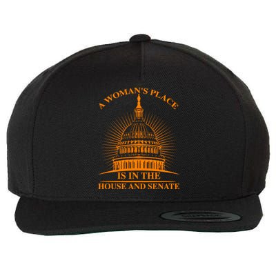 A S Place Is In The House And Senate Funny Gift Cool Gift Wool Snapback Cap