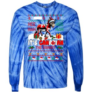 Animal Sound Proud Canadian Cute Donkey Xmas Farmer Gift Tie-Dye Long Sleeve Shirt