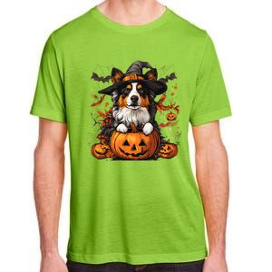 Australian Shepherd Pumpkin Halloween Thanksgiving Adult ChromaSoft Performance T-Shirt