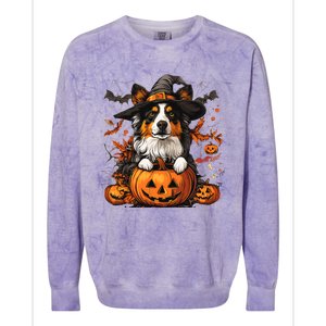 Australian Shepherd Pumpkin Halloween Thanksgiving Colorblast Crewneck Sweatshirt