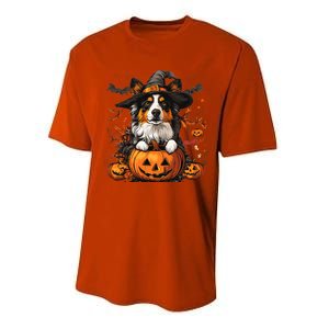 Australian Shepherd Pumpkin Halloween Thanksgiving Performance Sprint T-Shirt