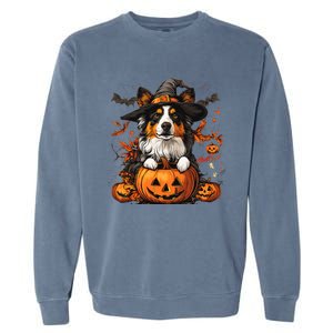 Australian Shepherd Pumpkin Halloween Thanksgiving Garment-Dyed Sweatshirt