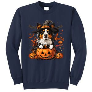 Australian Shepherd Pumpkin Halloween Thanksgiving Sweatshirt