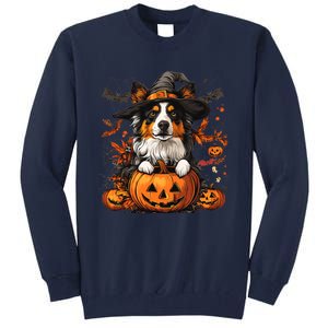 Australian Shepherd Pumpkin Halloween Thanksgiving Tall Sweatshirt