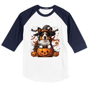 Australian Shepherd Pumpkin Halloween Thanksgiving Baseball Sleeve Shirt