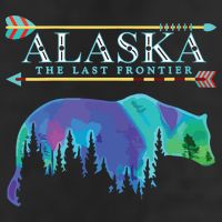 Alaska State Pride Alaska Northern Lights Alaskan Bear Adult Drive Performance Visor
