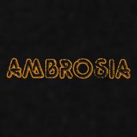Ambrosia Salad Recipe Desert Apples 70s Retro Ladies PosiCharge Tri-Blend Wicking Tank