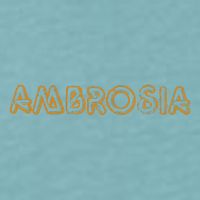 Ambrosia Salad Recipe Desert Apples 70s Retro Sueded Cloud Jersey T-Shirt
