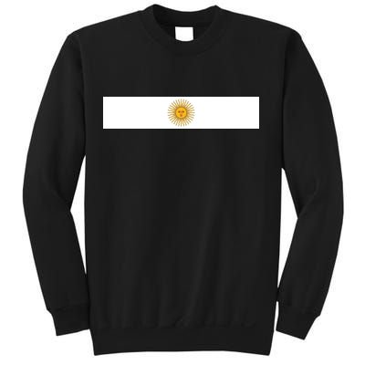 Argentine Simple Stripe Flag Sweatshirt