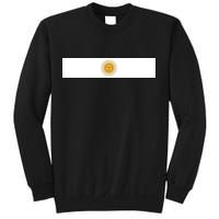 Argentine Simple Stripe Flag Sweatshirt