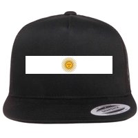 Argentine Simple Stripe Flag Flatbill Hat