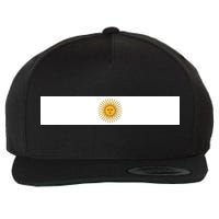 Argentine Simple Stripe Flag Wool Snapback Cap
