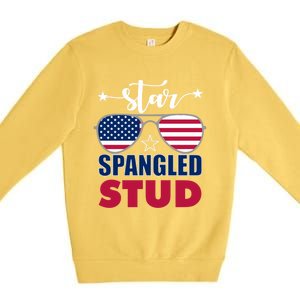 America Star Spangled Stud Graphic Funny Gift Premium Crewneck Sweatshirt