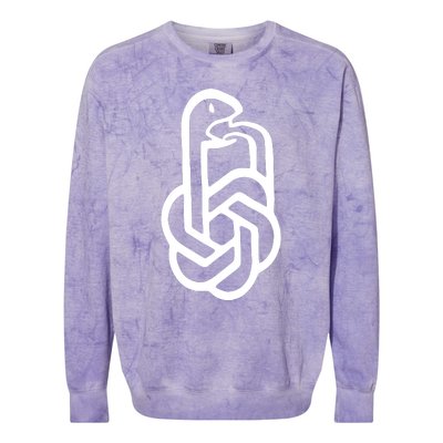 Aravind Srinivas Snake Ai Colorblast Crewneck Sweatshirt