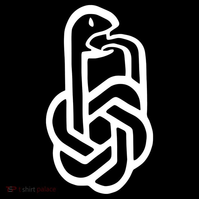 Aravind Srinivas Snake Ai Hoodie