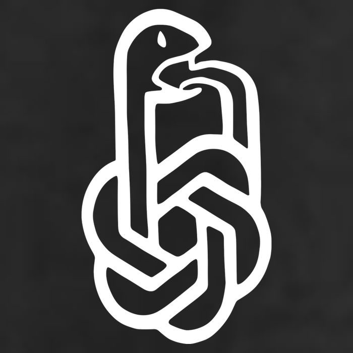 Aravind Srinivas Snake Ai Beanie