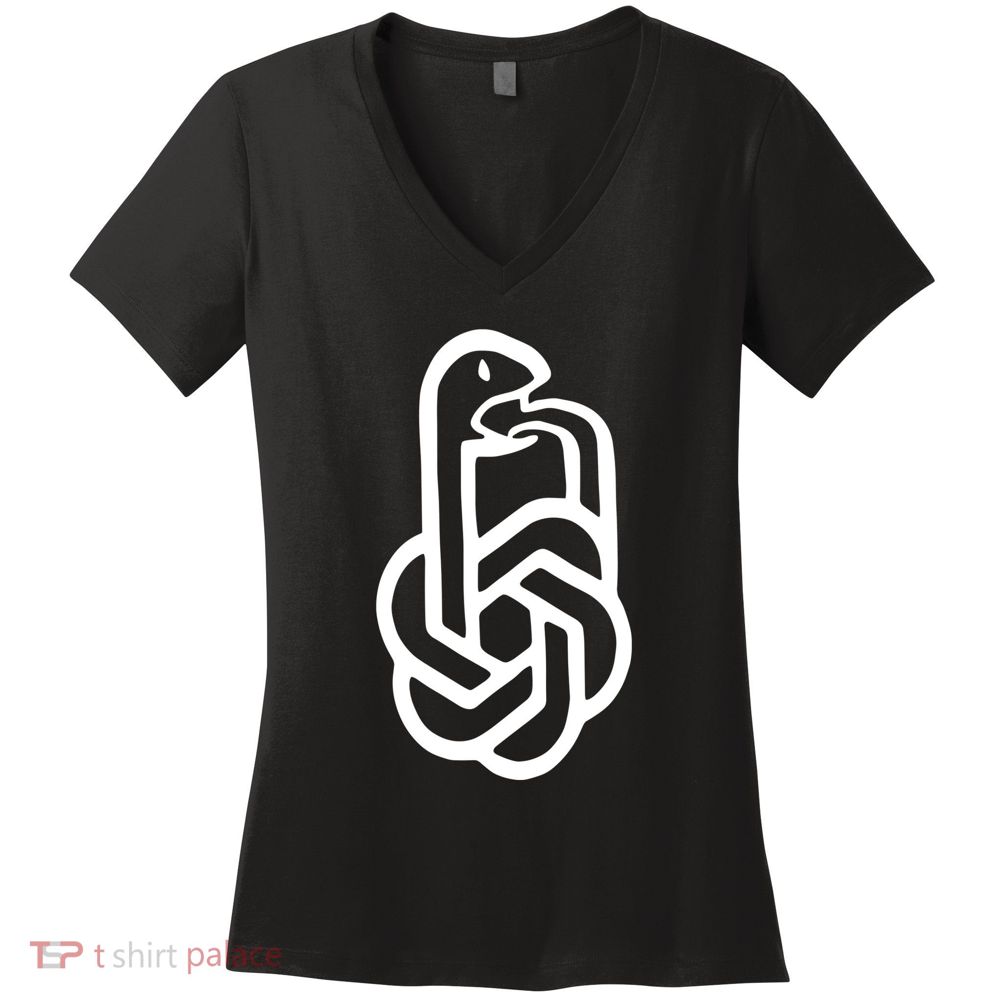 Aravind Srinivas Snake Ai Women's V-Neck T-Shirt