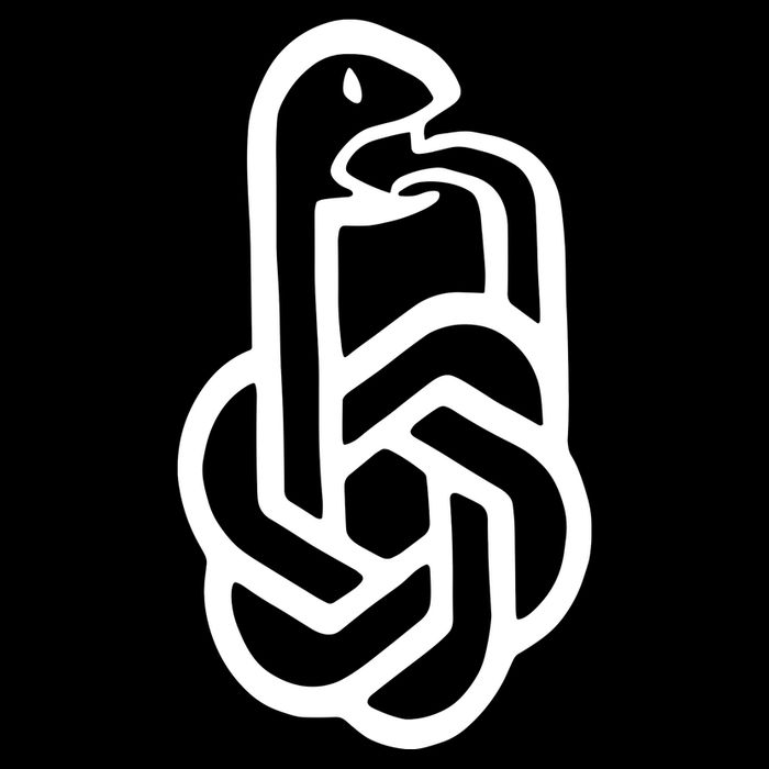 Aravind Srinivas Snake Ai Short Acrylic Beanie