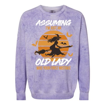 Assuming I'm Just An Old Lady Was a Mistake Halloween Colorblast Crewneck Sweatshirt